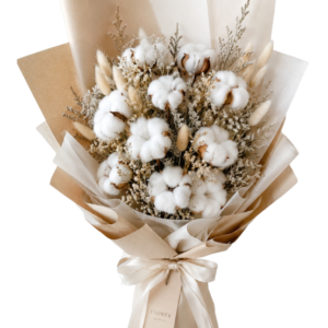 دسته‌گل پنبه‌ای