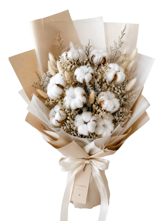 دسته‌گل پنبه‌ای