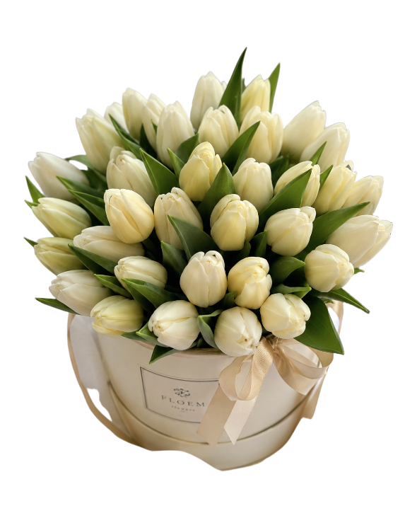 باکس گل لاله سفید